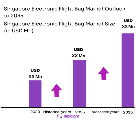 Singapore electronic flight bag Market size