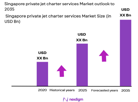 Singapore private jet charter services Market size