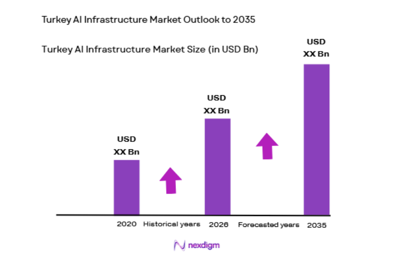 Turkey AI Infrastructure Market size