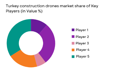 Turkey Construction Drones Market shares of major players