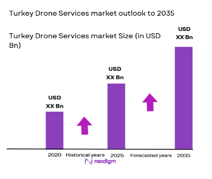 Turkey Drone Services Market size