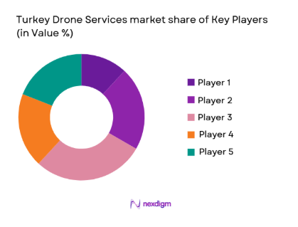 Turkey Drone Services market shares of major players 