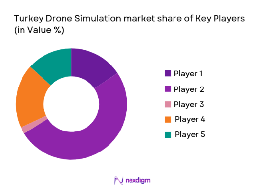 Turkey Drone Simulation market share of key players