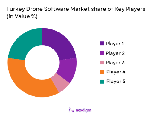 Turkey Drone Software market share of key players