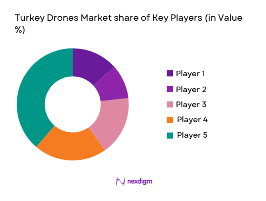 Turkey Drones Market shares of key players
