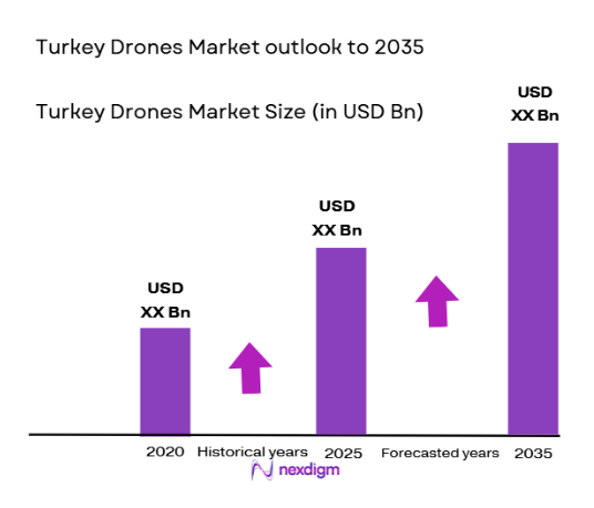 Turkey Drones Market size