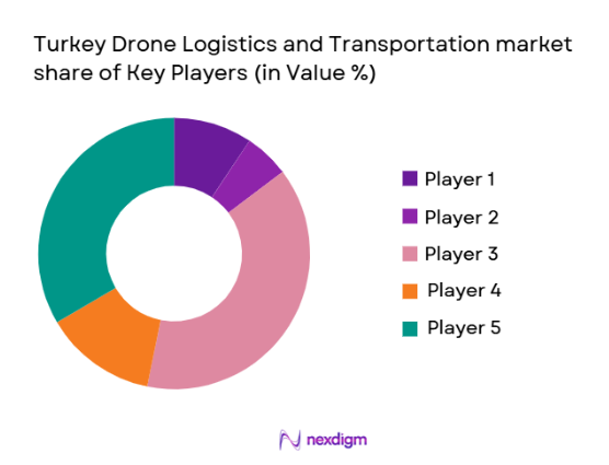 Turkey drone logistics and transportation Market share of key players