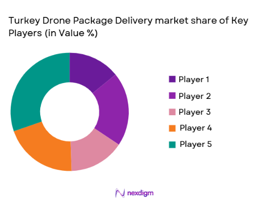 Turkey drone package delivery Market share of key players