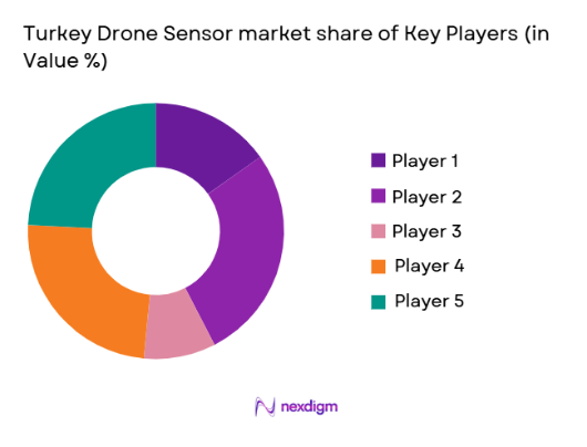 Turkey drone sensor Market share of key players