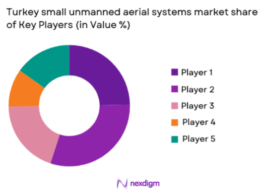 Turkey small unmanned aerial systems Market share of key players