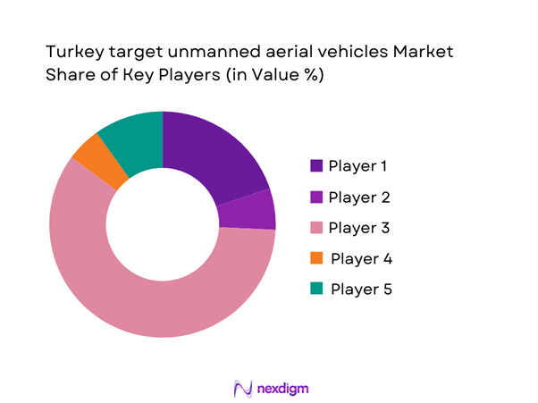 Turkey target unmanned aerial vehicles Market Share of Key Players