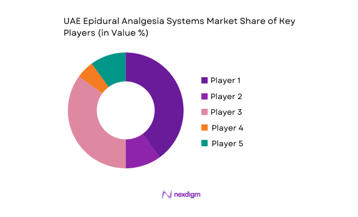 UAE Epidural Analgesia Systems Market key players