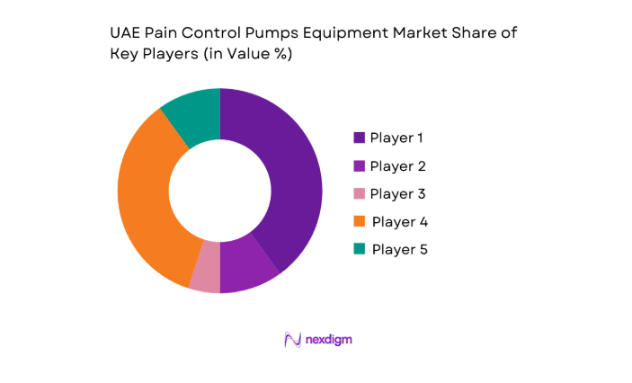 UAE Pain Control Pumps Equipment Market key players