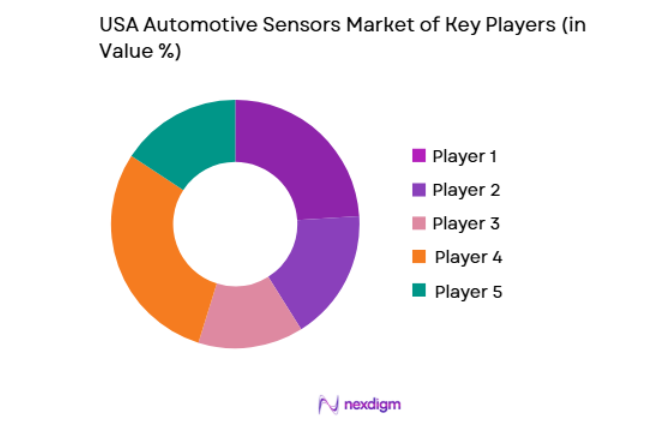 USA Automotive Sensors Market key players