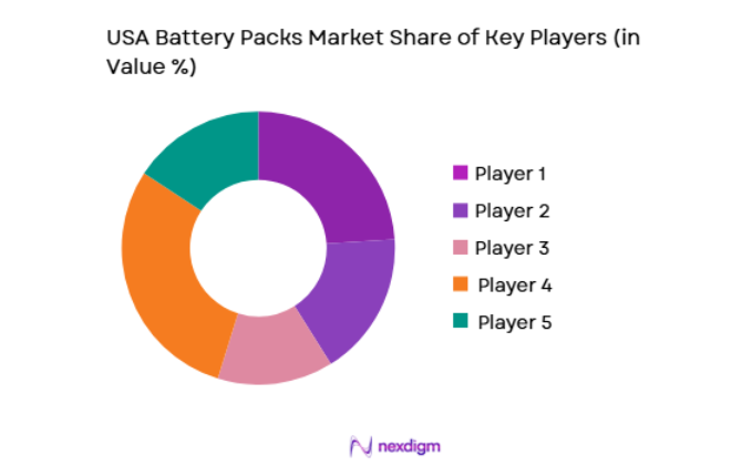 USA Battery Packs Market key players