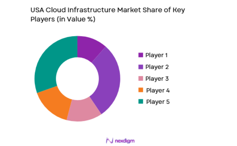 USA Cloud Infrastructure Market key players
