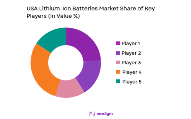 USA Lithium-Ion Batteries Market key players