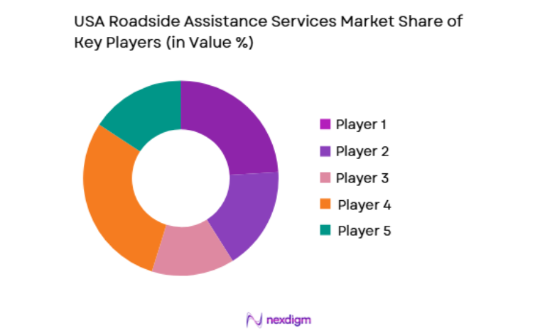 USA Roadside Assistance Services Market key players