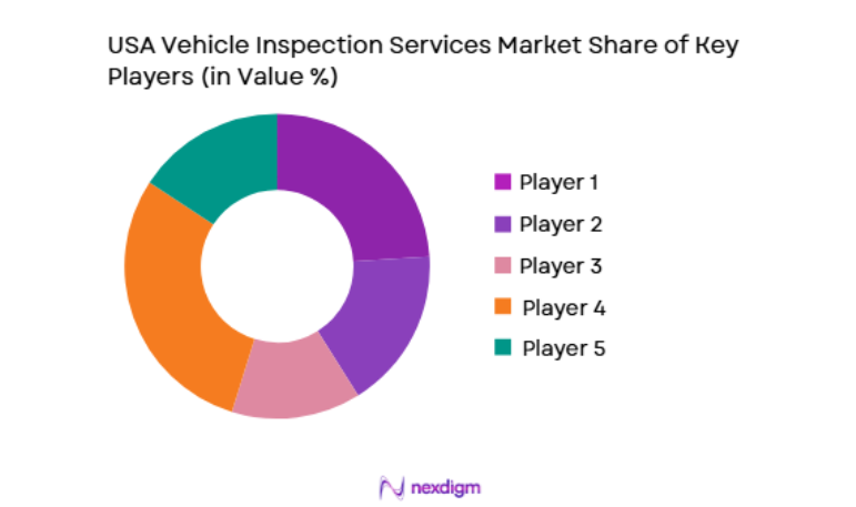 USA Vehicle Inspection Services Market key players