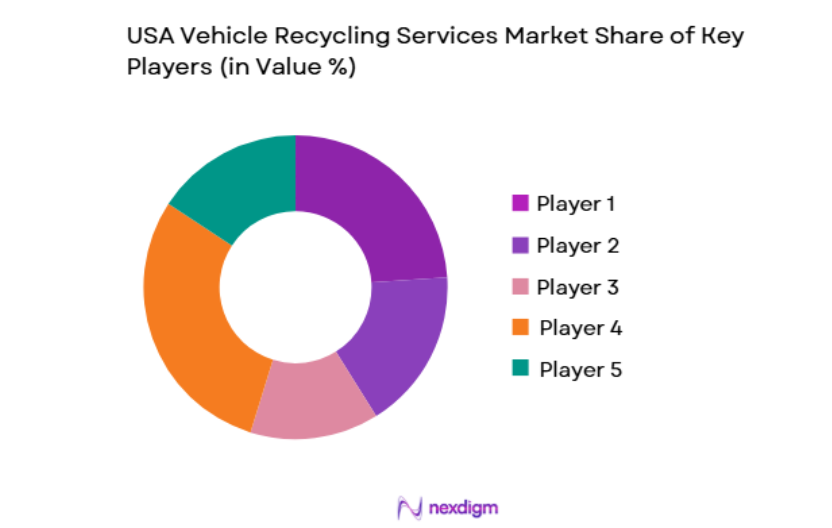USA Vehicle Recycling Services Market key players