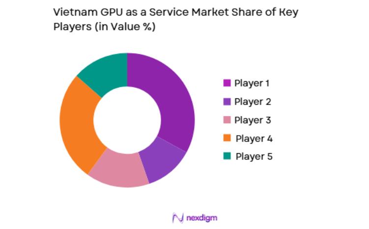 Vietnam GPU as a Service Market key players