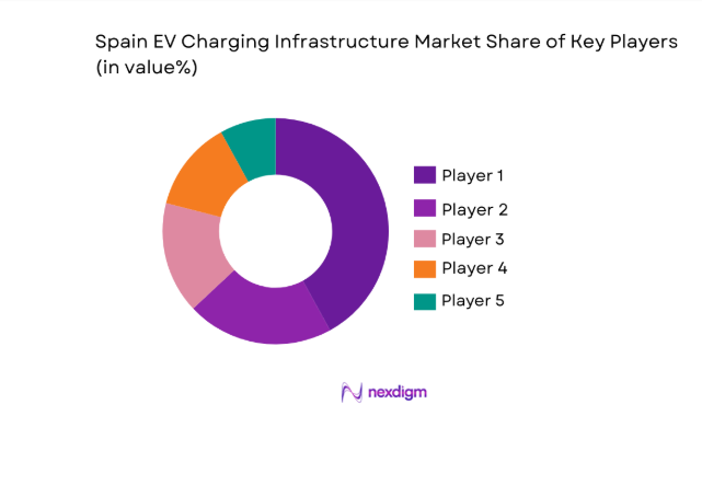 Spain EV Charging Infrastructure Market share