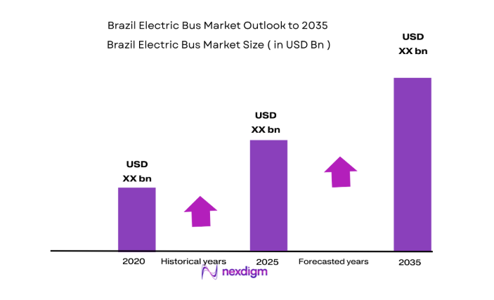 Brazil Electric Bus Market size