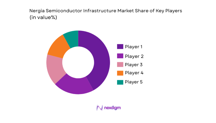 Nigeria Semiconductor Infrastructure Market share