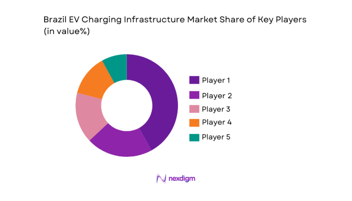 Brazil EV Charging Infrastructure Market share