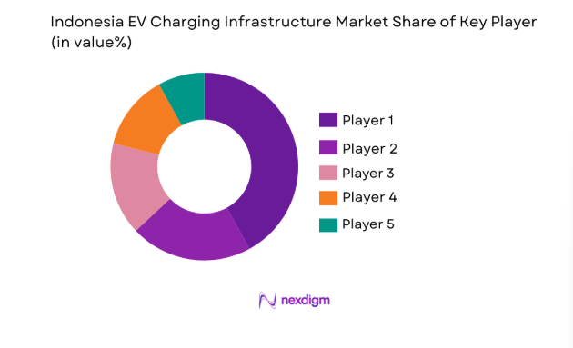 Indonesia EV Charging Infrastructure Market share