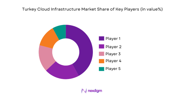 Turkey Cloud Infrastructure Market share