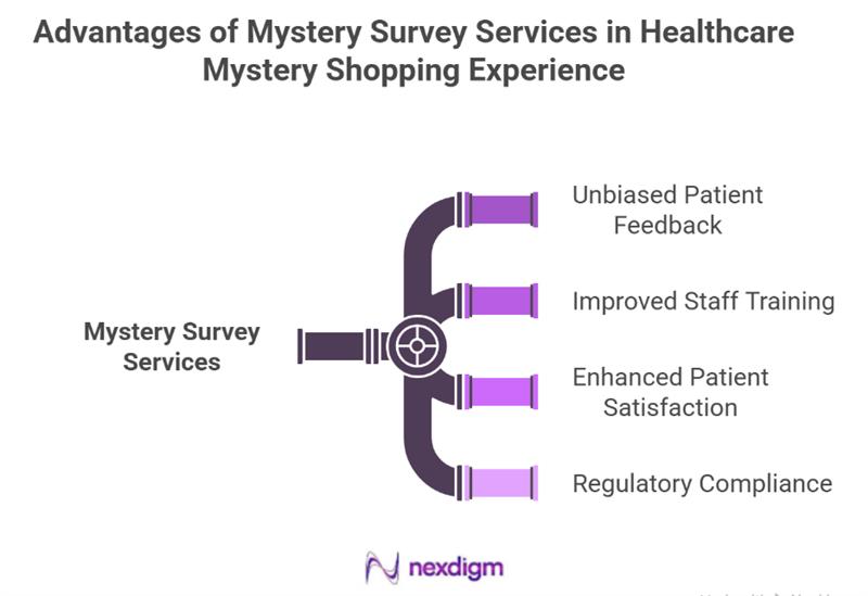Advantages of Mystery Survey Services in Healthcare
