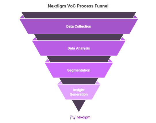 Automotive Voice of Consumer survey Services