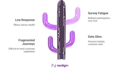 Barriers to Effective Telecom Voice of Customer Surveys 