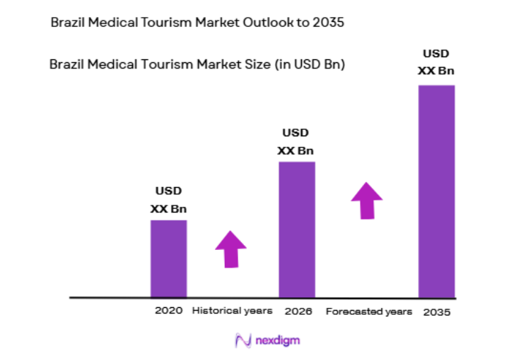 Brazil Medical Tourism Market size