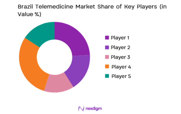 Brazil Telemedicine Market key players