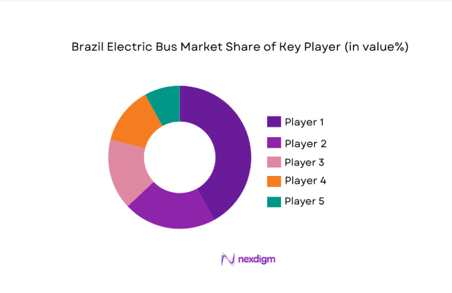 Brazil Electric Bus Market share