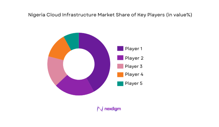 Nigeria Cloud Infrastructure Market share