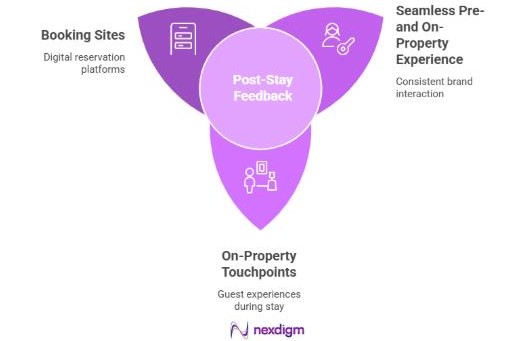 Consumer Preference Insight in Hospitality 