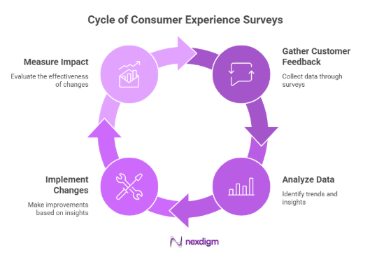 Cycle of Consumer Experience Surveys