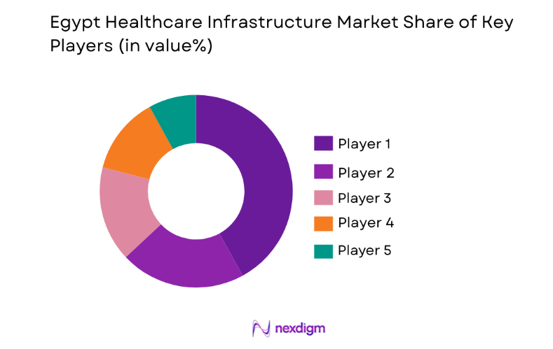 Egypt Healthcare Infrastructure Market key players