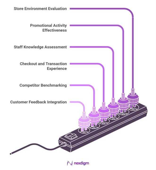 FMCG Mystery Survey Services