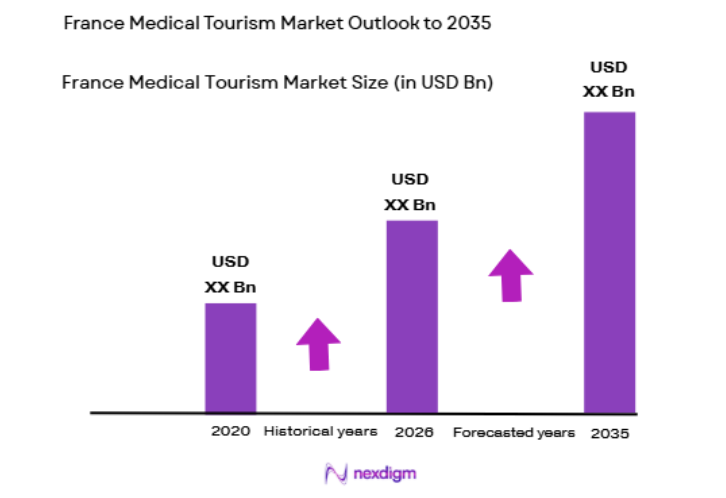 France Medical Tourism Market size