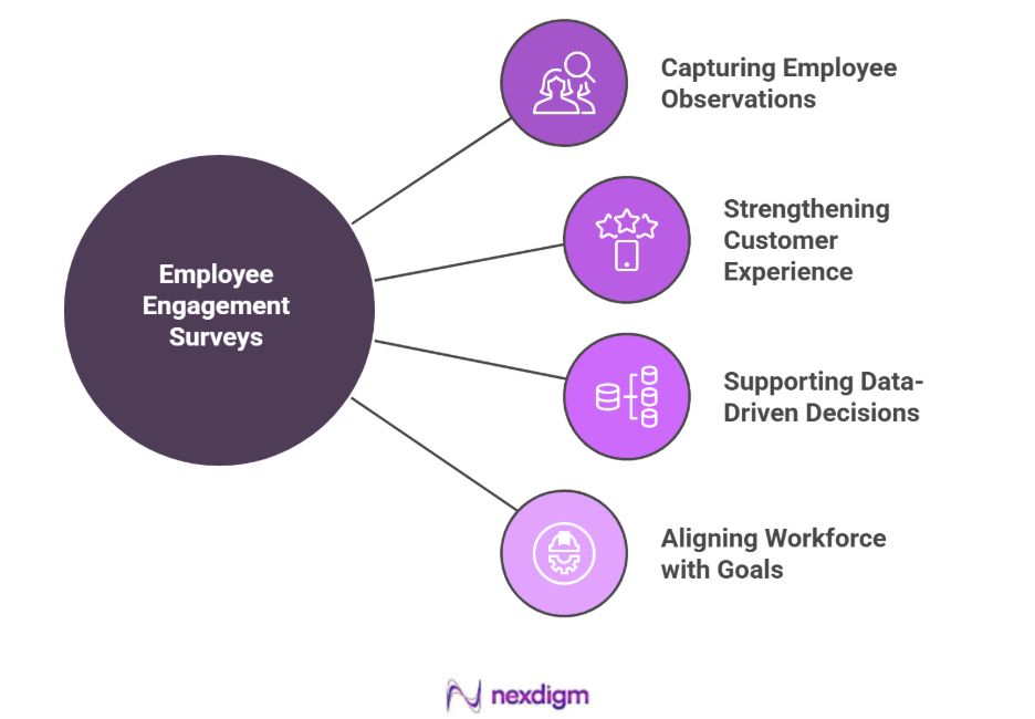Impact of Employee Engagement Surveys on Digital Banking