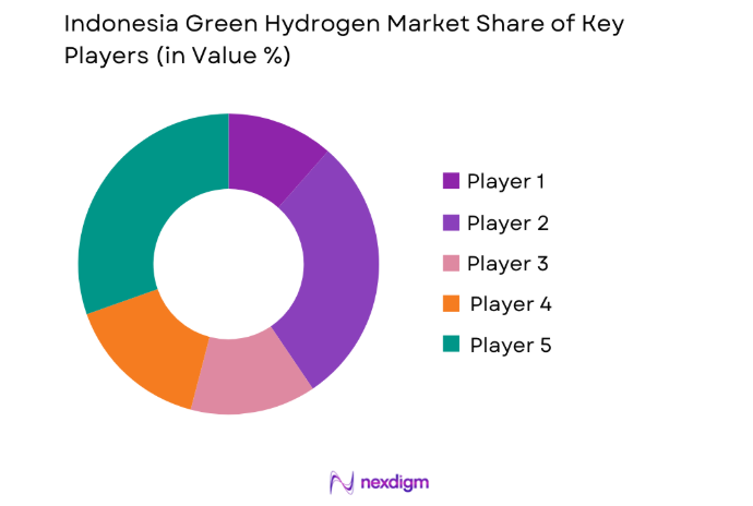 Indonesia Energy Storage Market key players