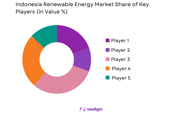 Indonesia Renewable Energy Market key players