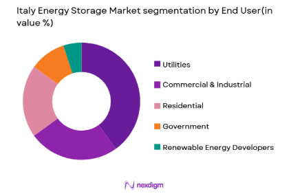 Italy Energy Storage Market segmentation by end user type