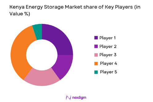 Kenya Energy Storage Market share of key players