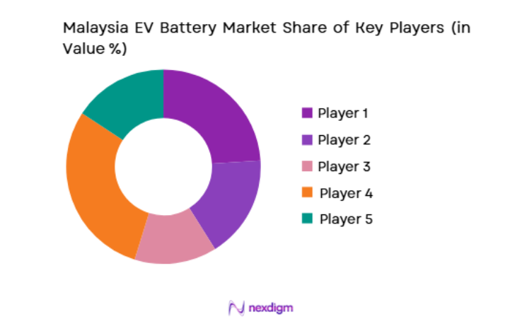 Malaysia EV Battery Market key players