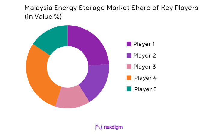 Malaysia Energy Storage Market key players